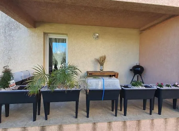 Avec Balneo Proche モリアニ・プラージュ